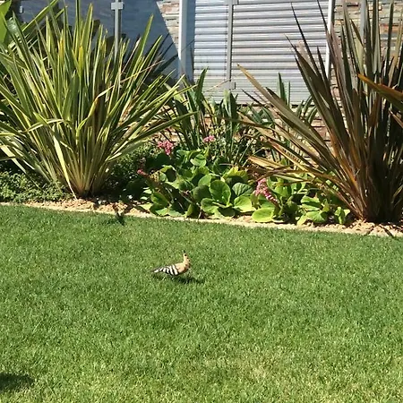 Luxurious T2 Apartment, Olhos Dagua * Albufeira