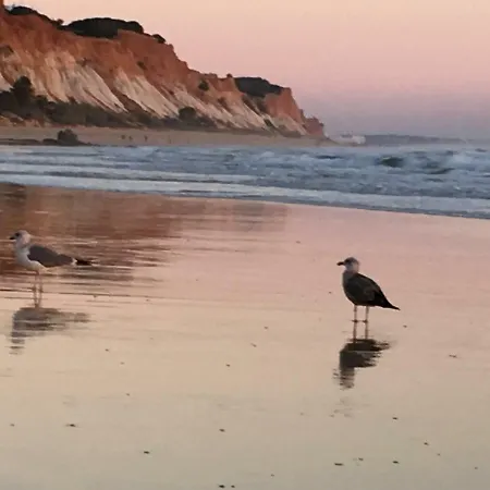 Apartament Luxurious T2 Apartment, Olhos Dagua