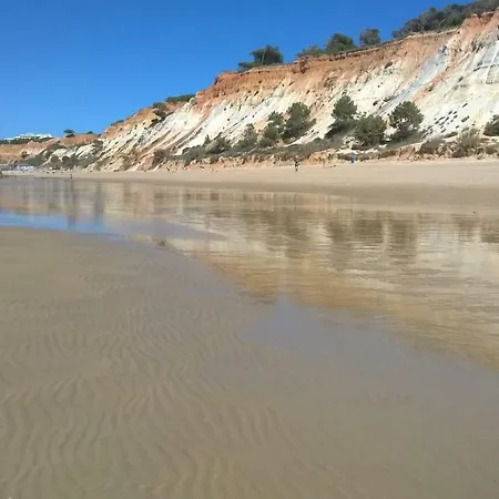 Apartament Luxurious T2 Apartment, Olhos Dagua