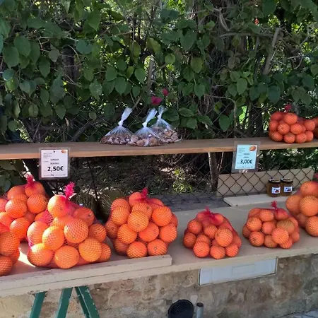 Apartament Luxurious T2 Apartment, Olhos Dagua *