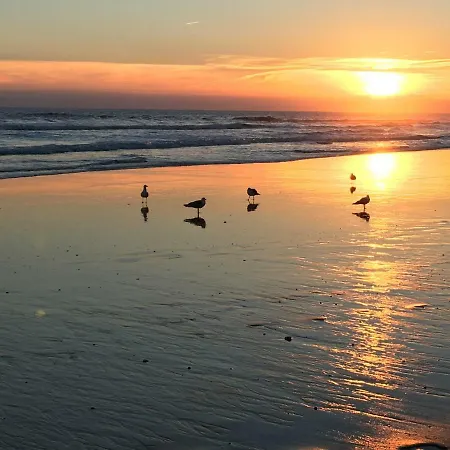 Luxurious T2 Apartment, Olhos Dagua Appartement