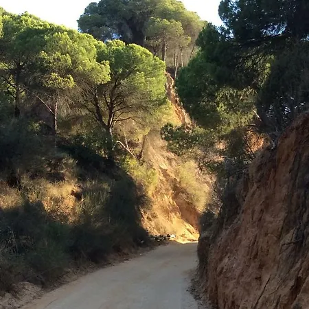 Appartement Luxurious T2 Apartment, Olhos Dagua